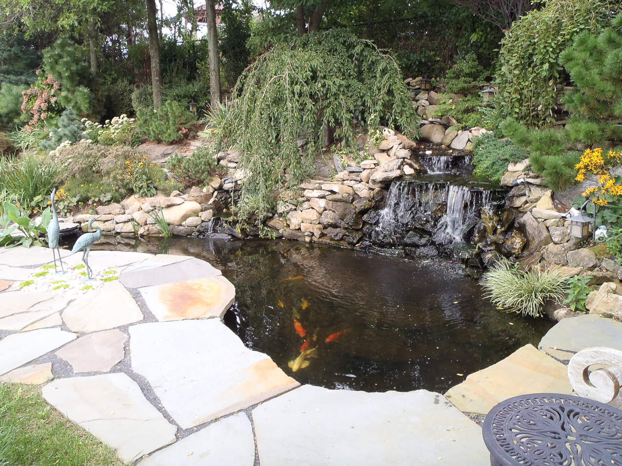 2nd nicest pond in the neighborhood.....  ~~  at the Diehl's.   Of course mine is #1