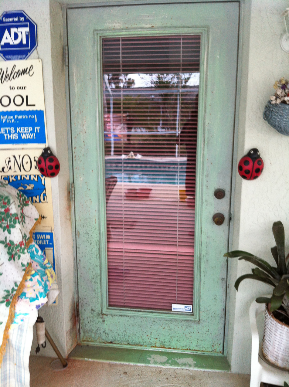 Have handyman/woman will travel  ~~  Walter's exterior door needed help......before.