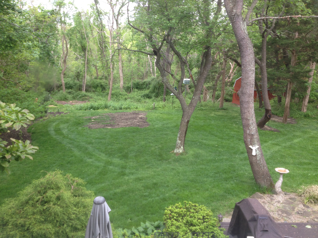 The garden no more.  ~~  A failed Mother's Day garden that was just too shady.  Finally got enough dirt to flattend it back out.  My Mom's bird bath to the lower right.  A few hundred birds a week use that thing.  Gets BLACK with dirt from the birds!