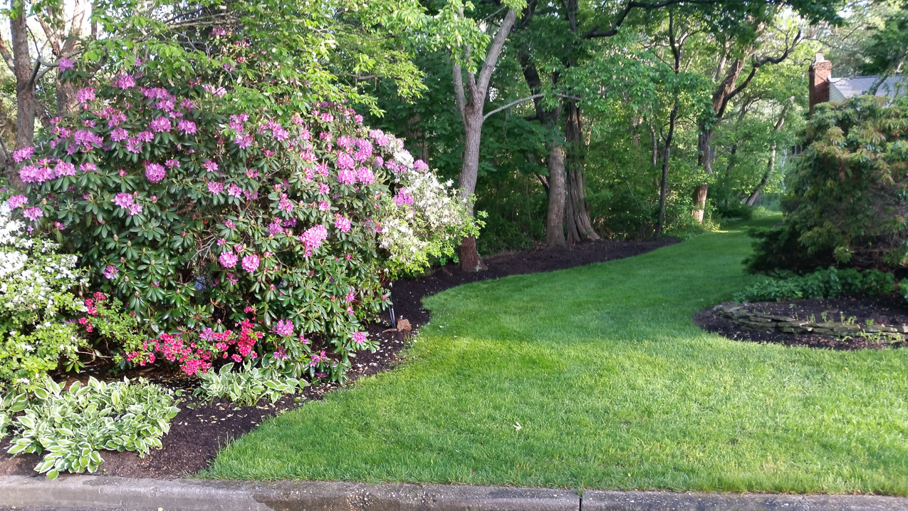 The Lynch Shack in Spring 2015  ~~  
