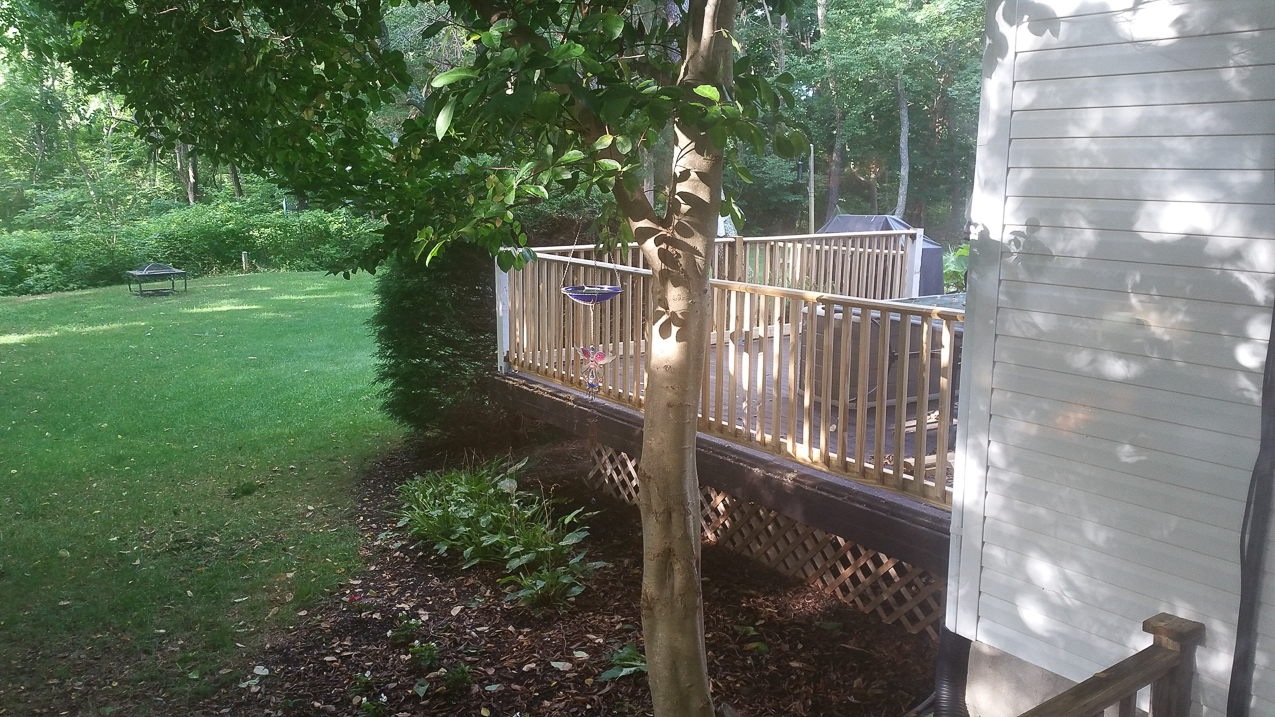 Deck project 2016 July  ~~  from the family room