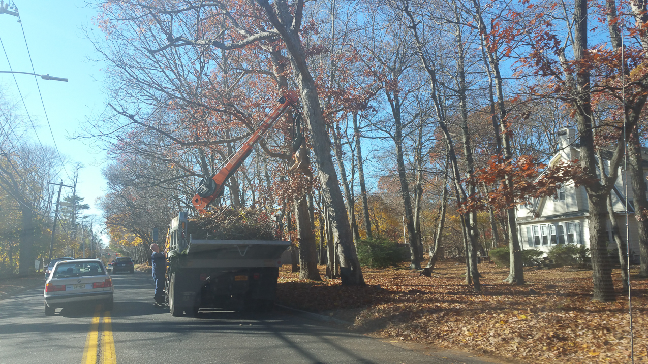 Rut season and lots of deer all over the place  ~~  Car/truck vs Deer usually never ends well.