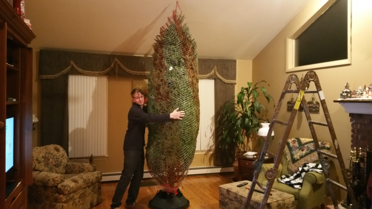 Christmas decorating at the Lynch Shack 2016  ~~  Quinn approves the monster 10 footer