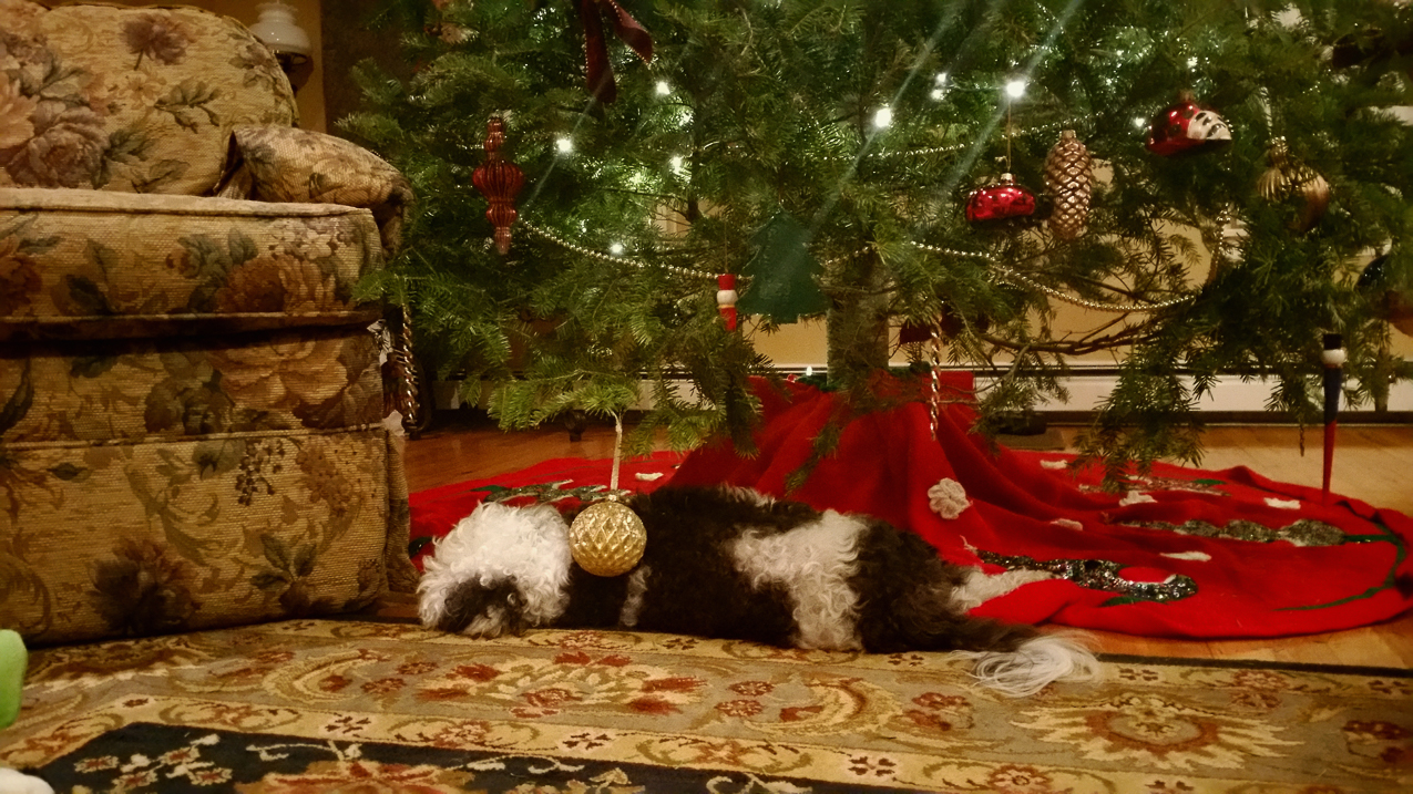 The Keeks taking a break from decorating  ~~  