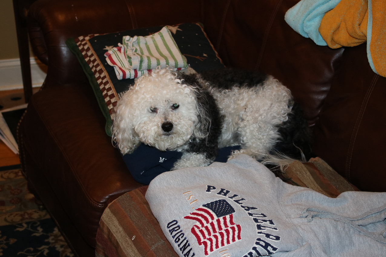The Keeks  ~~  Da mamma has been gone for WEEKS!!!!!! And we were ALL gone for 4 days.  Thanks Tarsia's and Broome's !!!!!