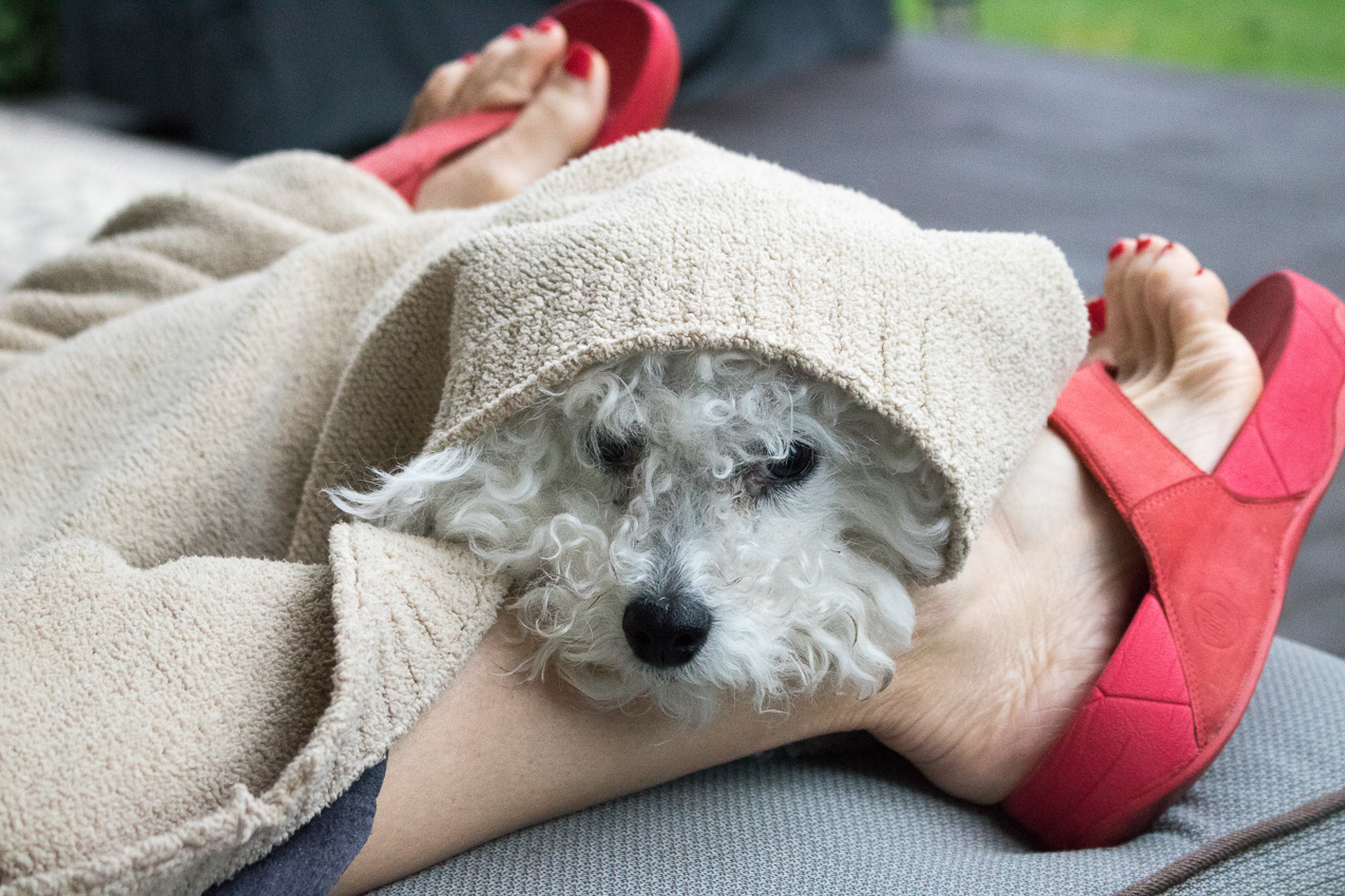 Da Keeks  ~~  ahhhh chillin' on the porch with da mama!