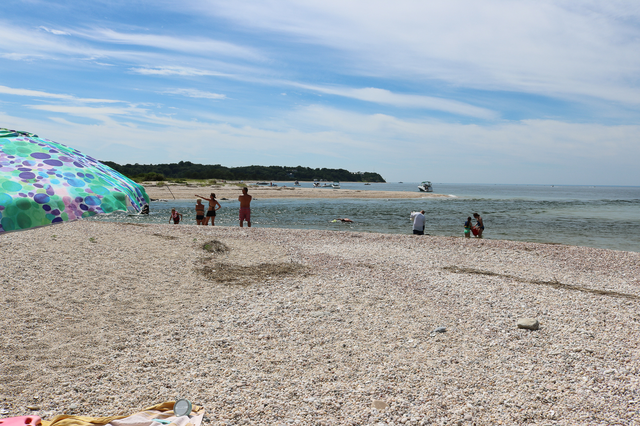 Flax Pond July Trip  ~~  there is the reason to come here ---  look at that current.