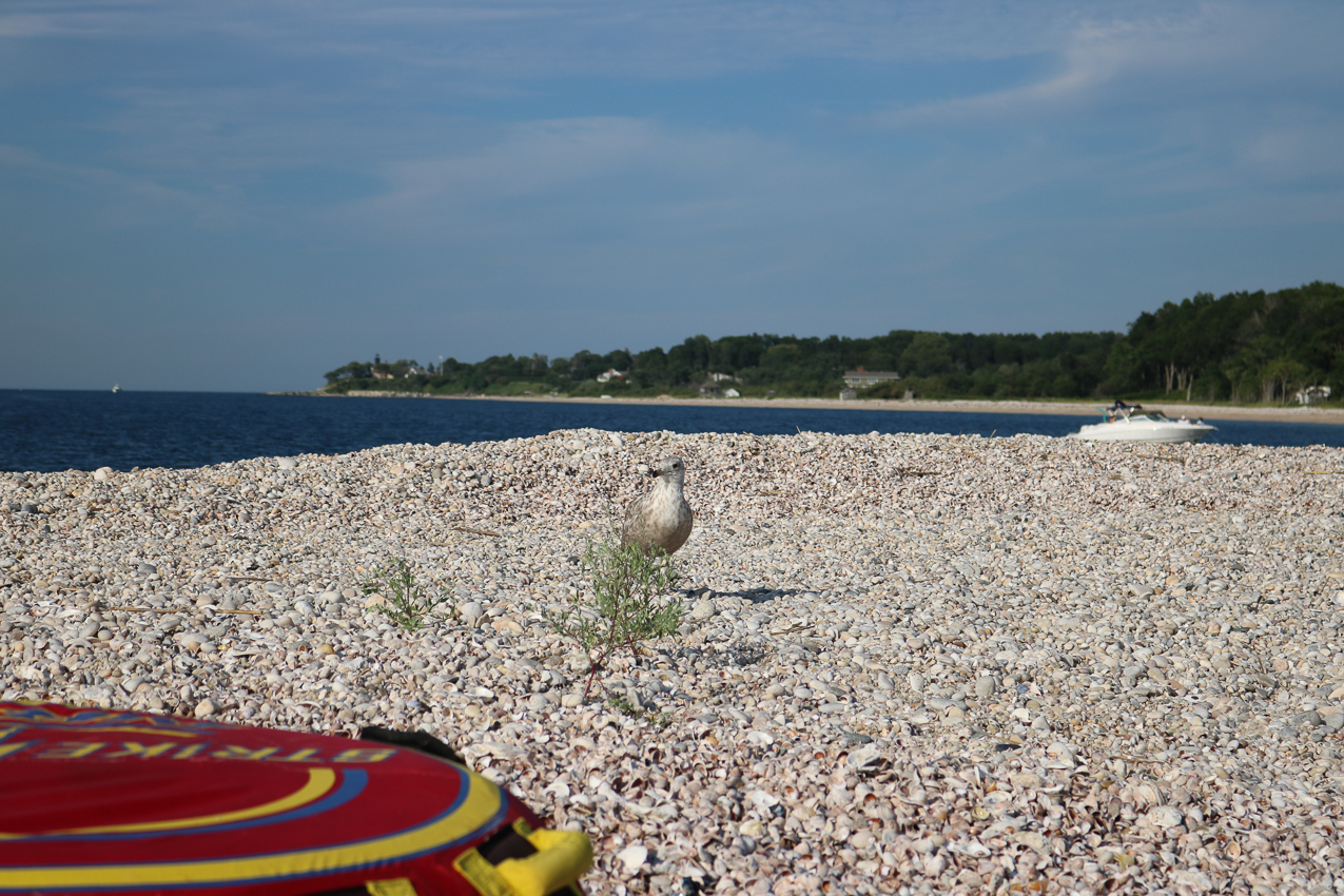 Flax Pond July Trip  ~~  