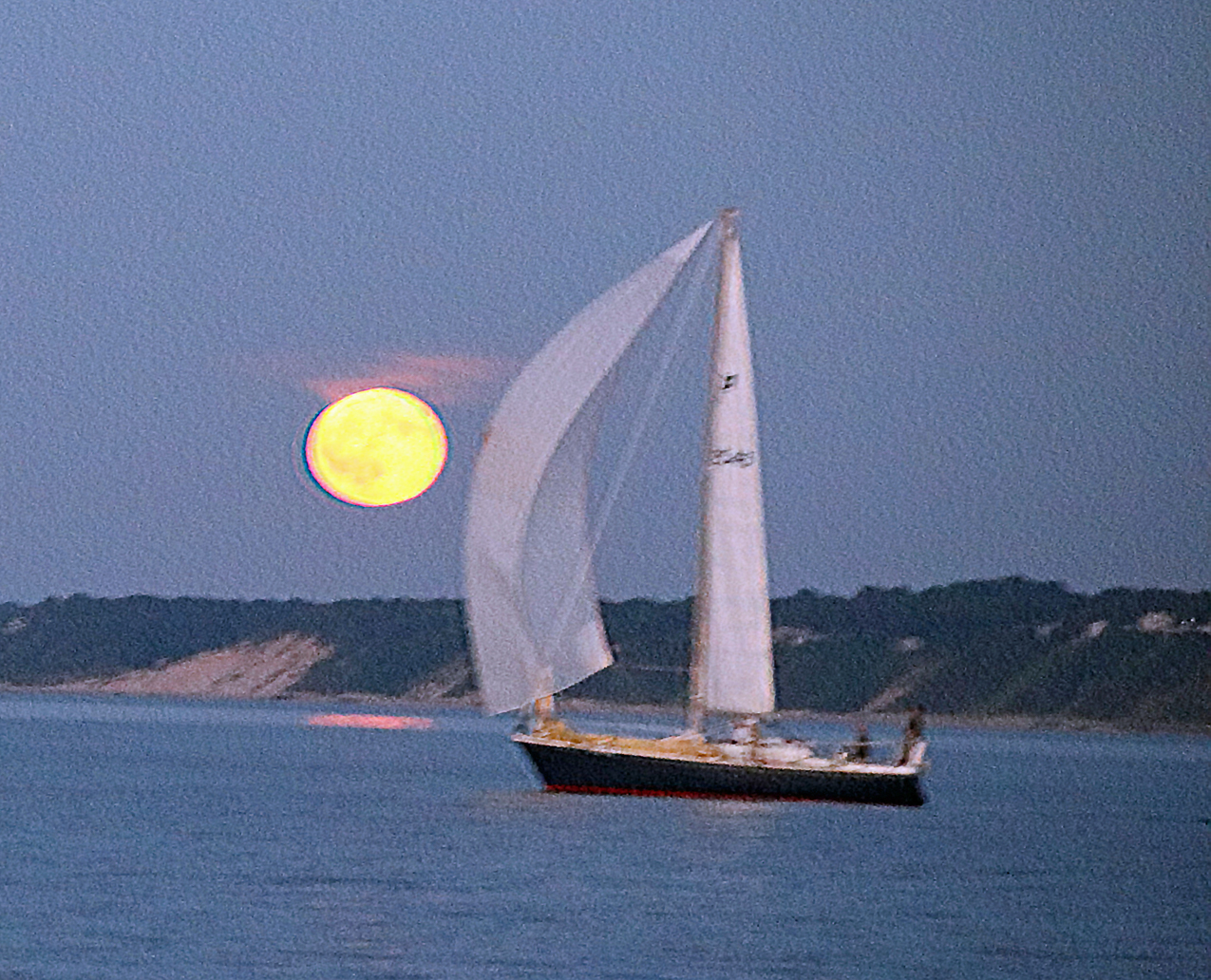Raggamuffin in the Moonlight  ~~  