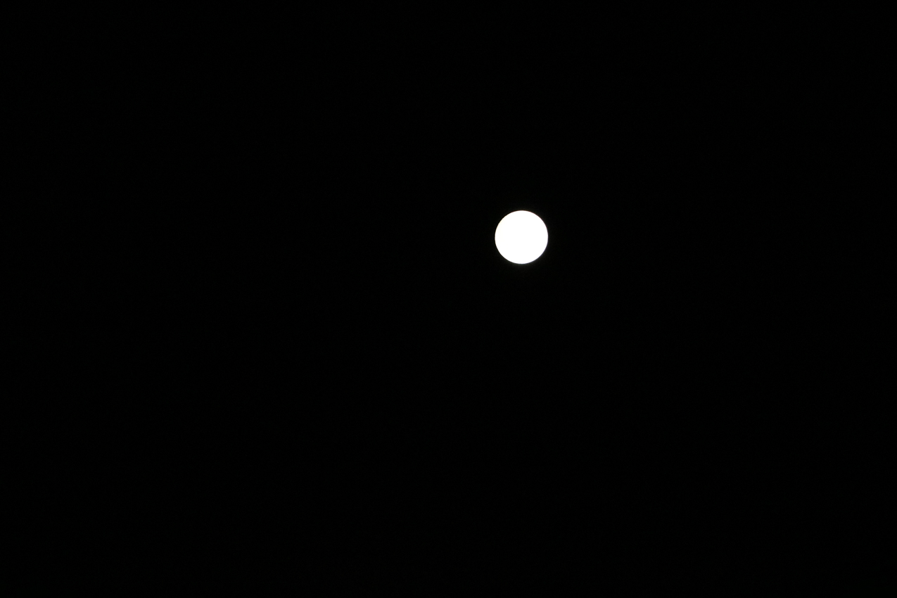 SUPERMOON.  the biggest in 68 years!!!  ~~  It was bright but this did not do it justice