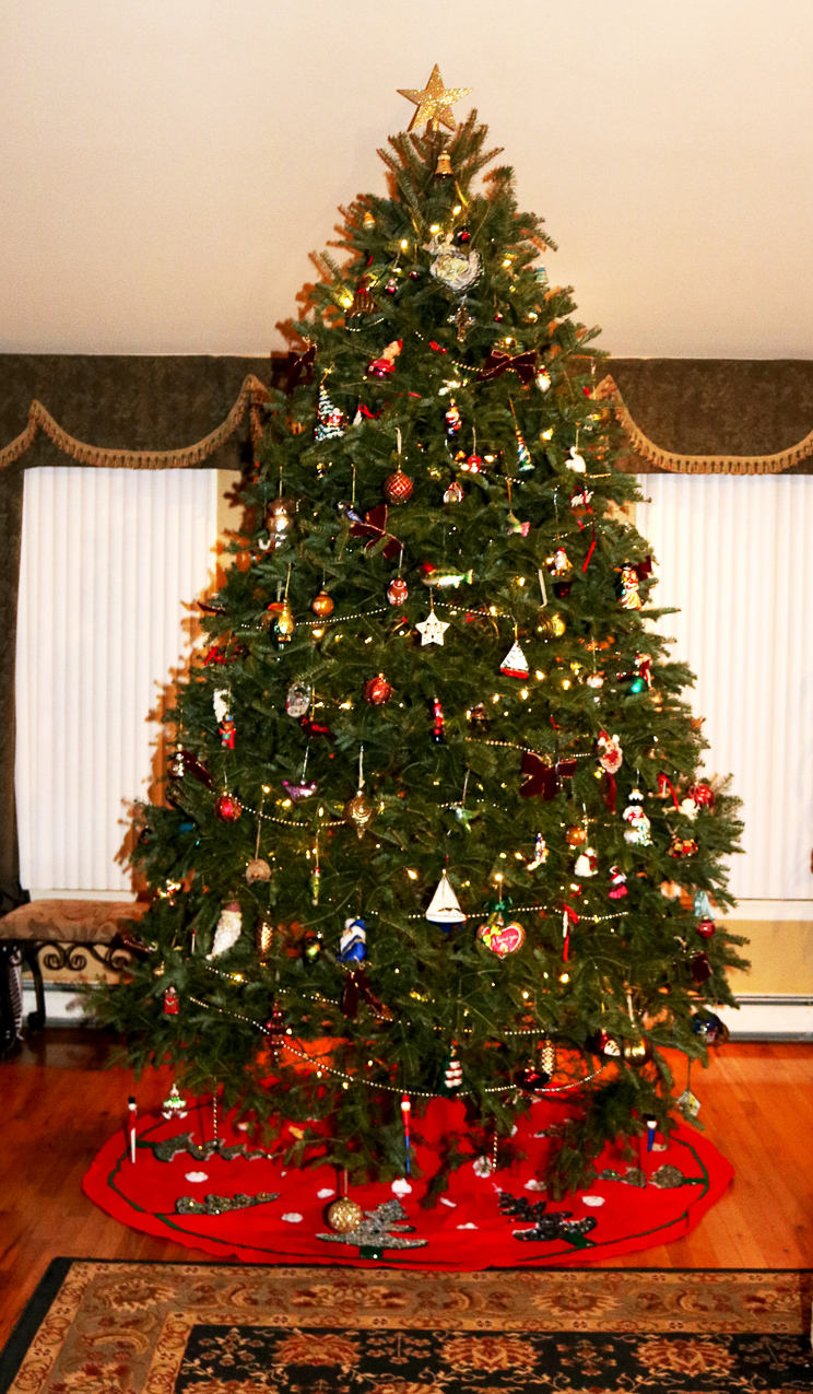 Christmas decorating at the Lynch Shack 2016  ~~  data a lot of stuff on there!