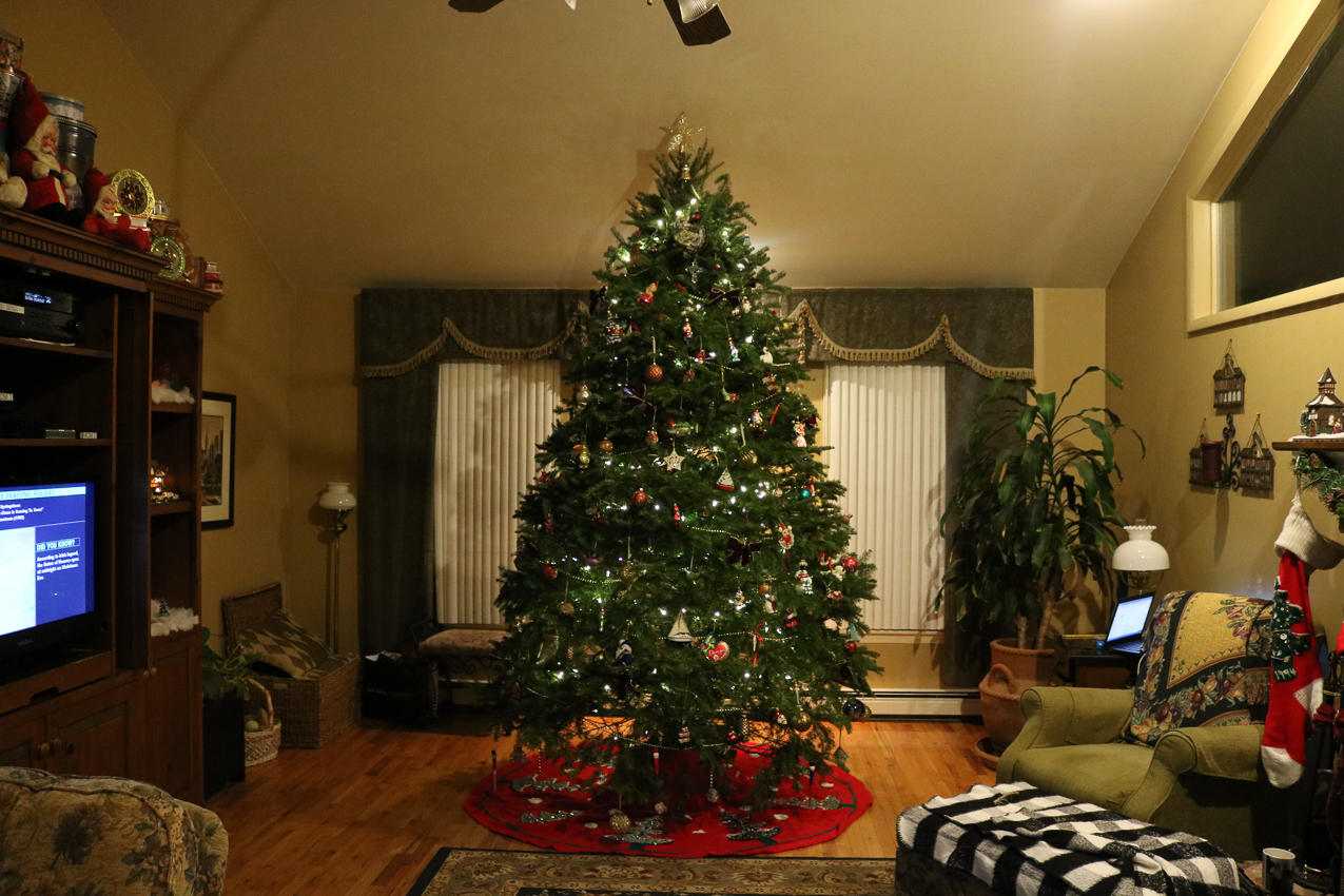 Christmas decorating at the Lynch Shack 2016  ~~  Merry Christmas from the Lynches
