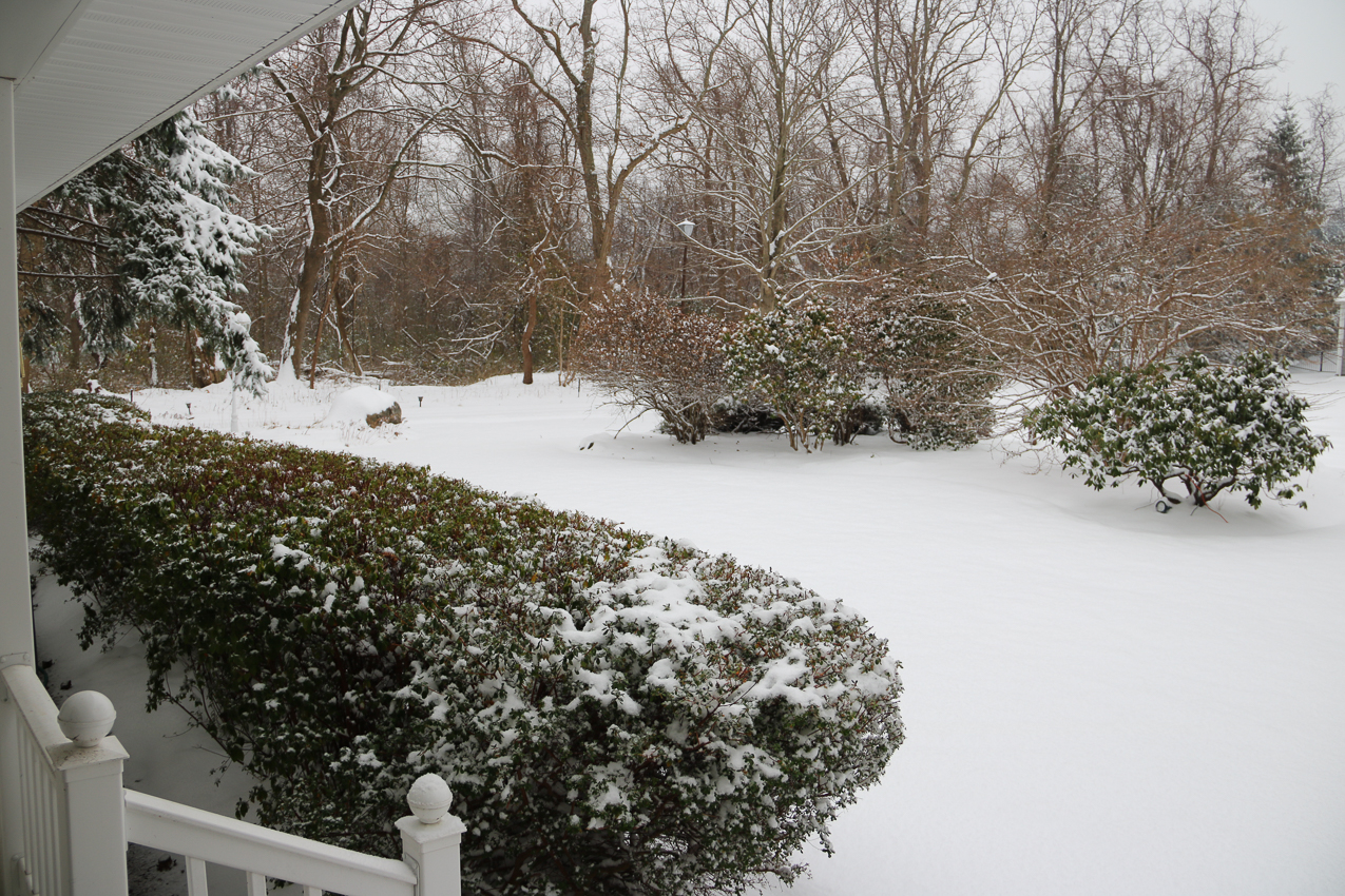 First snowfall of 2016   ~~  About 3 inches but rained and got warmer