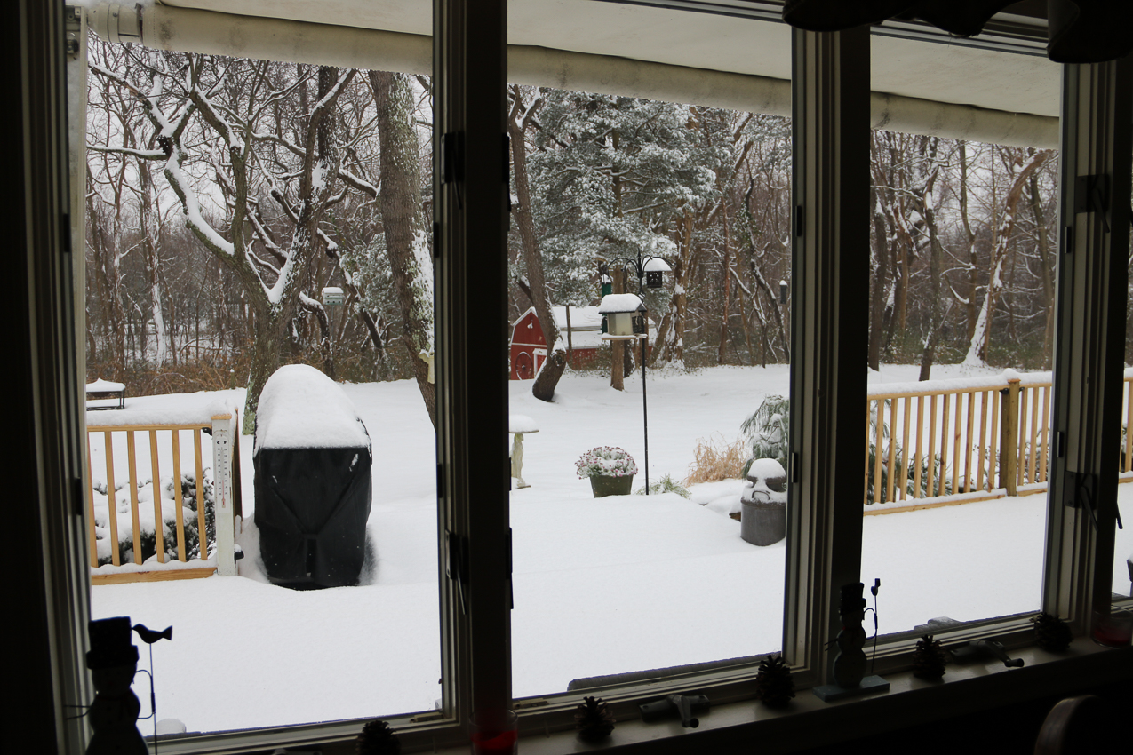 First snowfall of 2016   ~~  About 3 inches but rained and got warmer