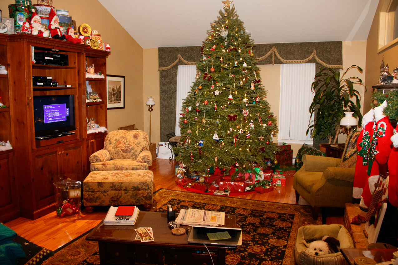 Dats a big tree!!!  ~~  Christmas at the Lynch Shack