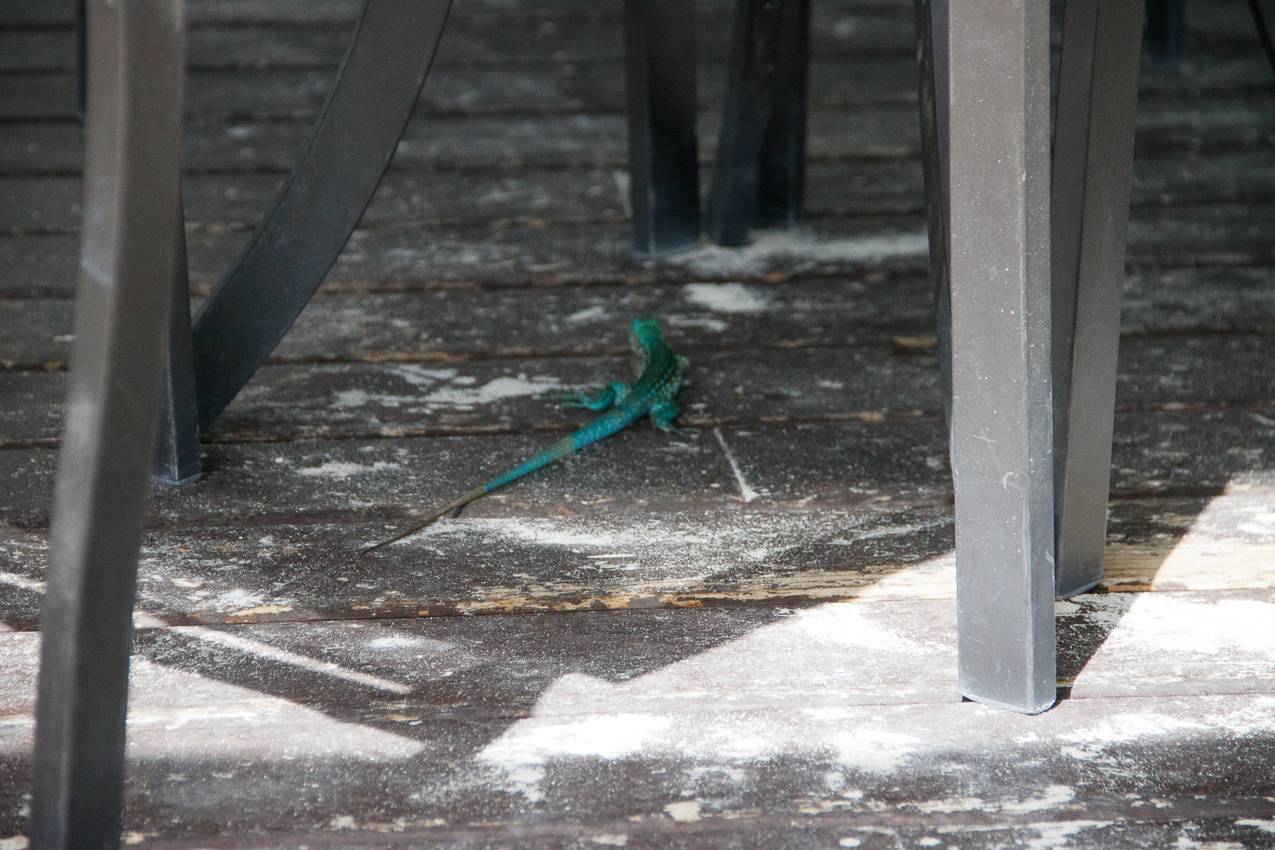   ~~  Aruba for our 27th Anniversary