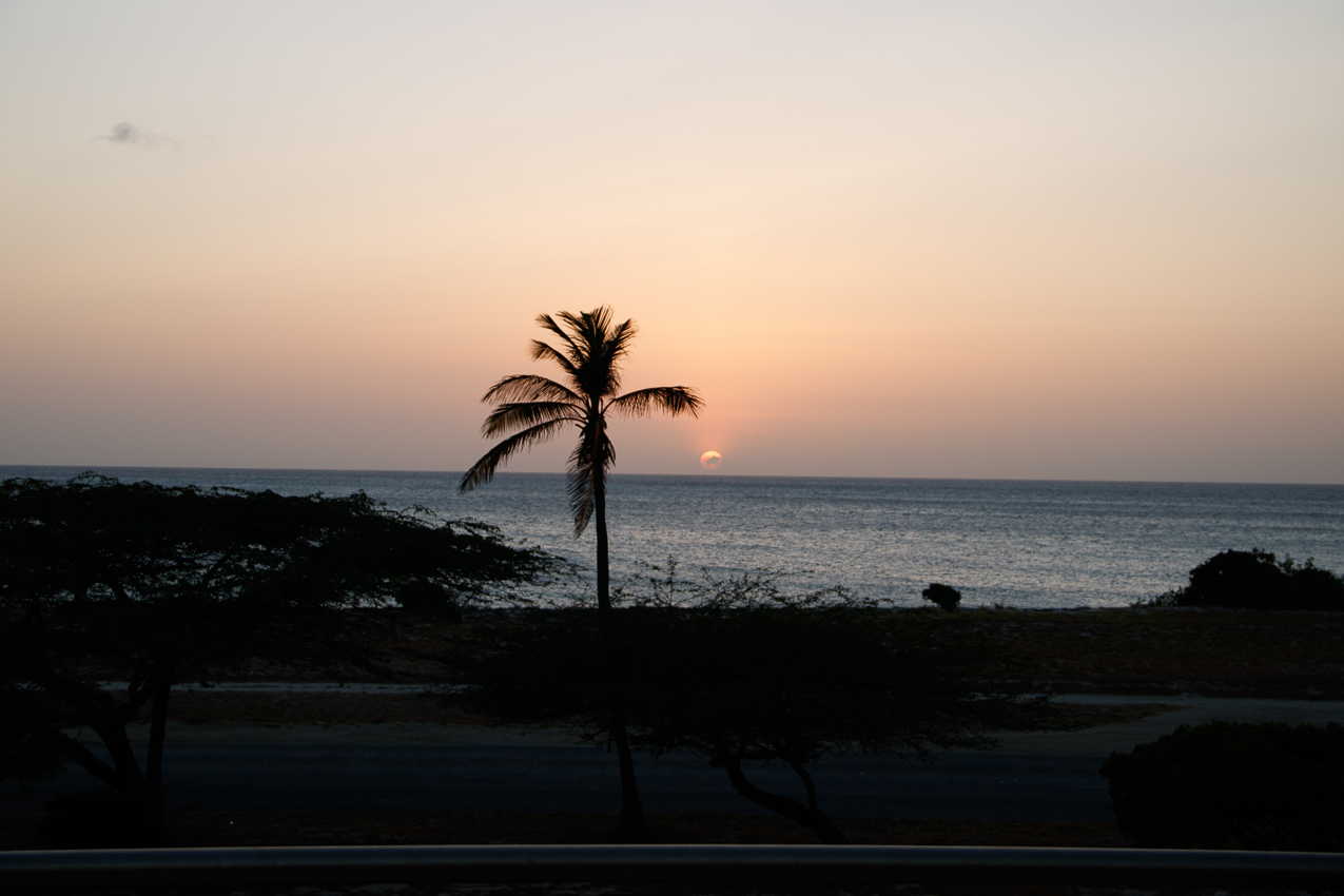 Kitchen Table by White in Aruba for our 27th Anniversary, One of the best meals of my life, 8 course fantastic and vegetarian.  ~~  Aruba for our 27th Anniversary