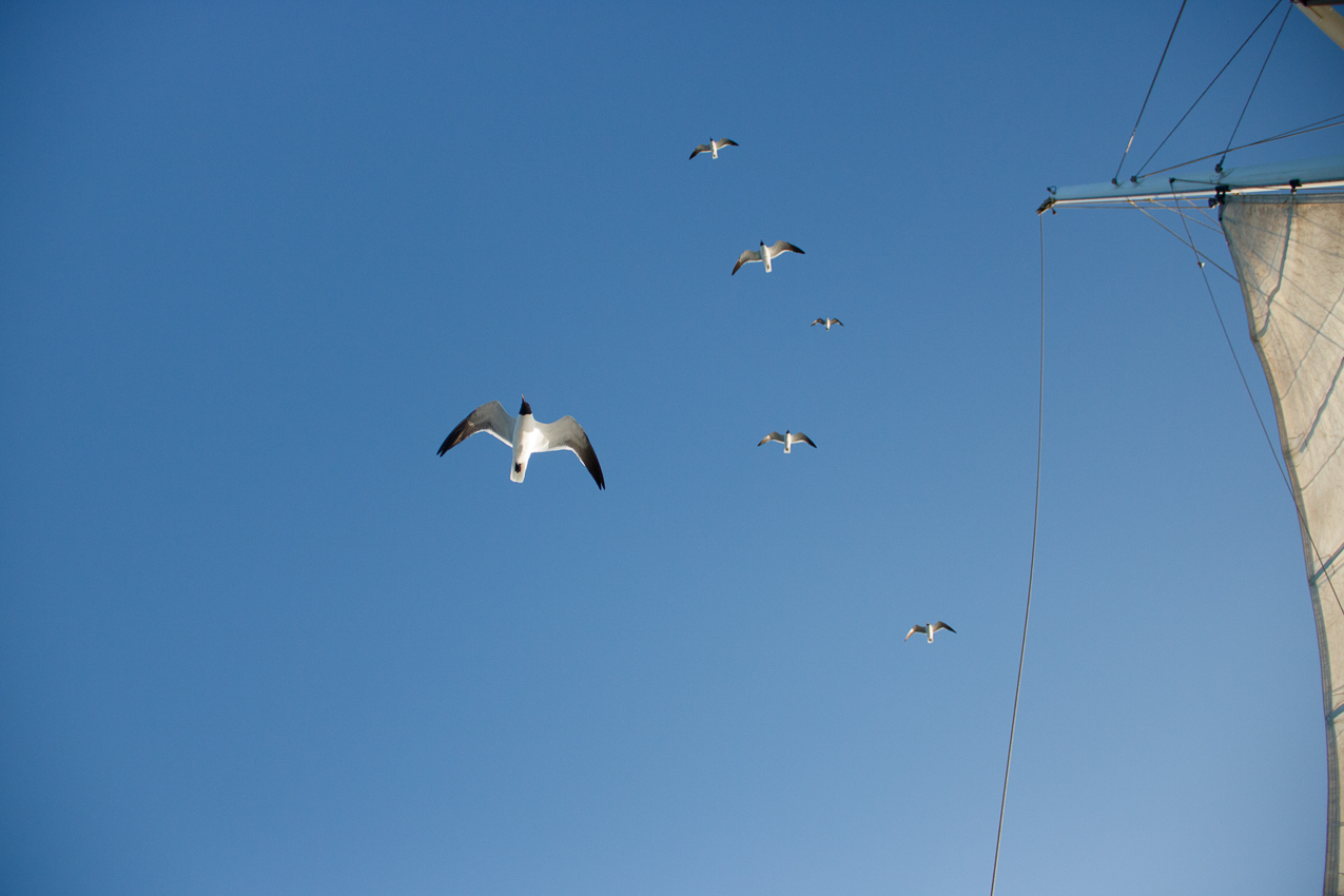   ~~  Aruba for our 27th Anniversary