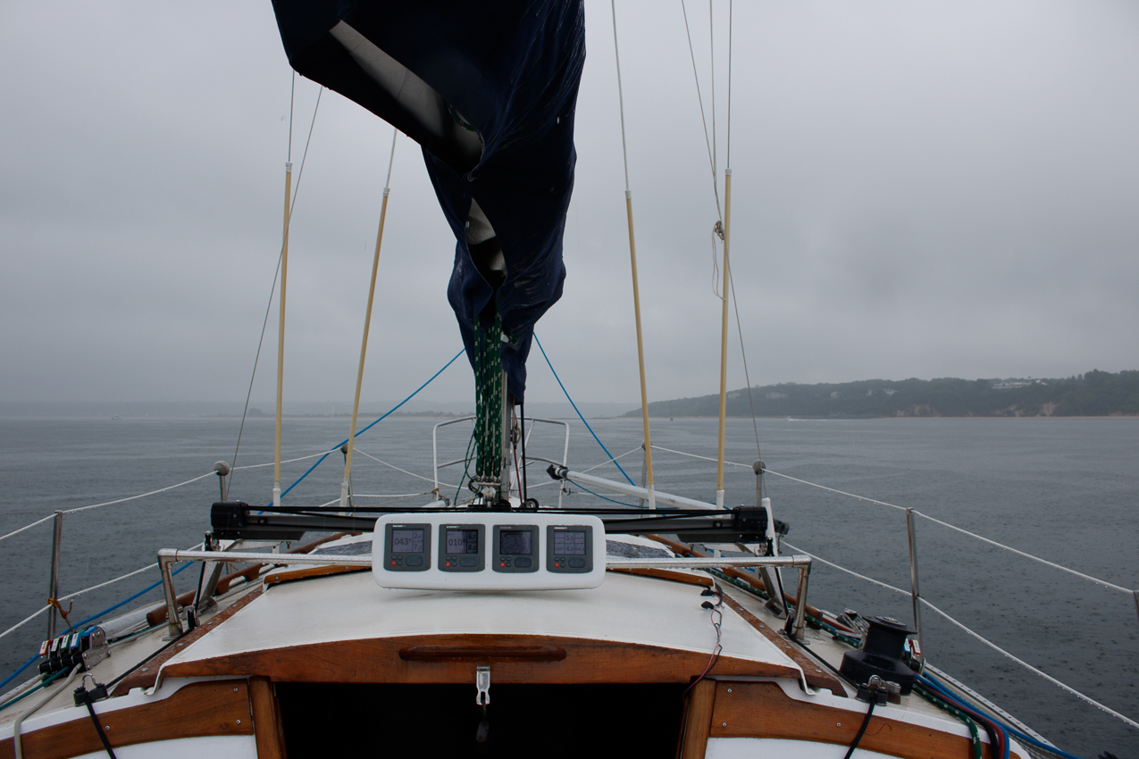 Independence Day Celebration and Firework on July 3rd with friends and family  ~~  