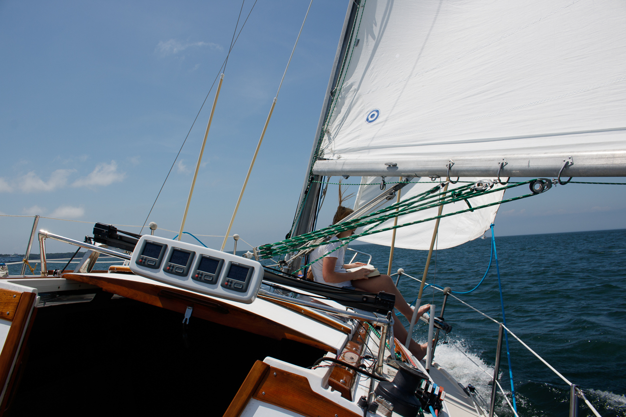 Independence Day Celebration and Firework on July 3rd with friends and family  ~~  