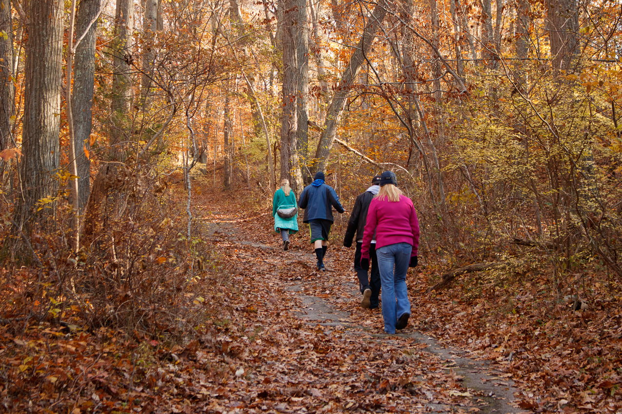 Thanksgiving Black Friday Hike in Cordwood Landing Park 2017  ~~  