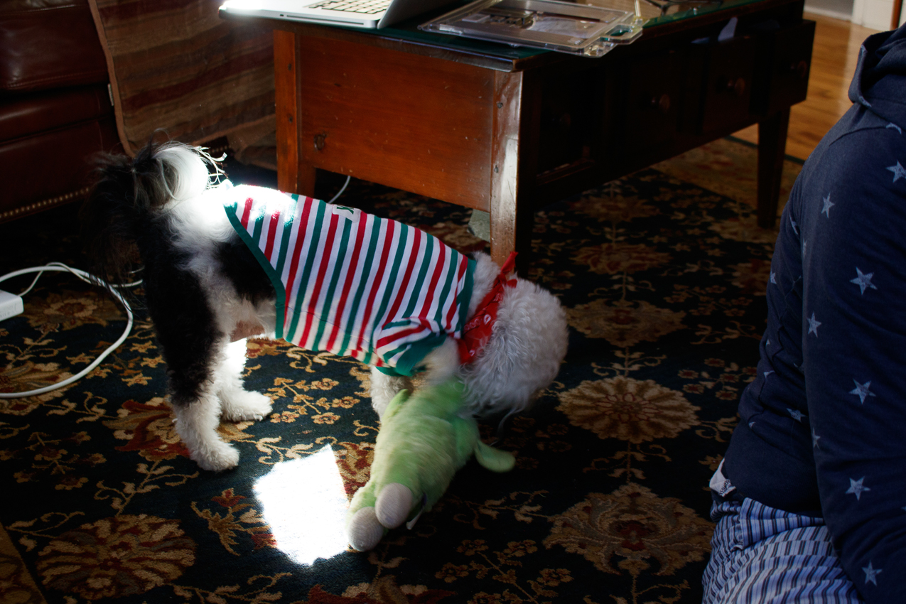   ~~  Chrsitmas 2017 at the Lynch Shack