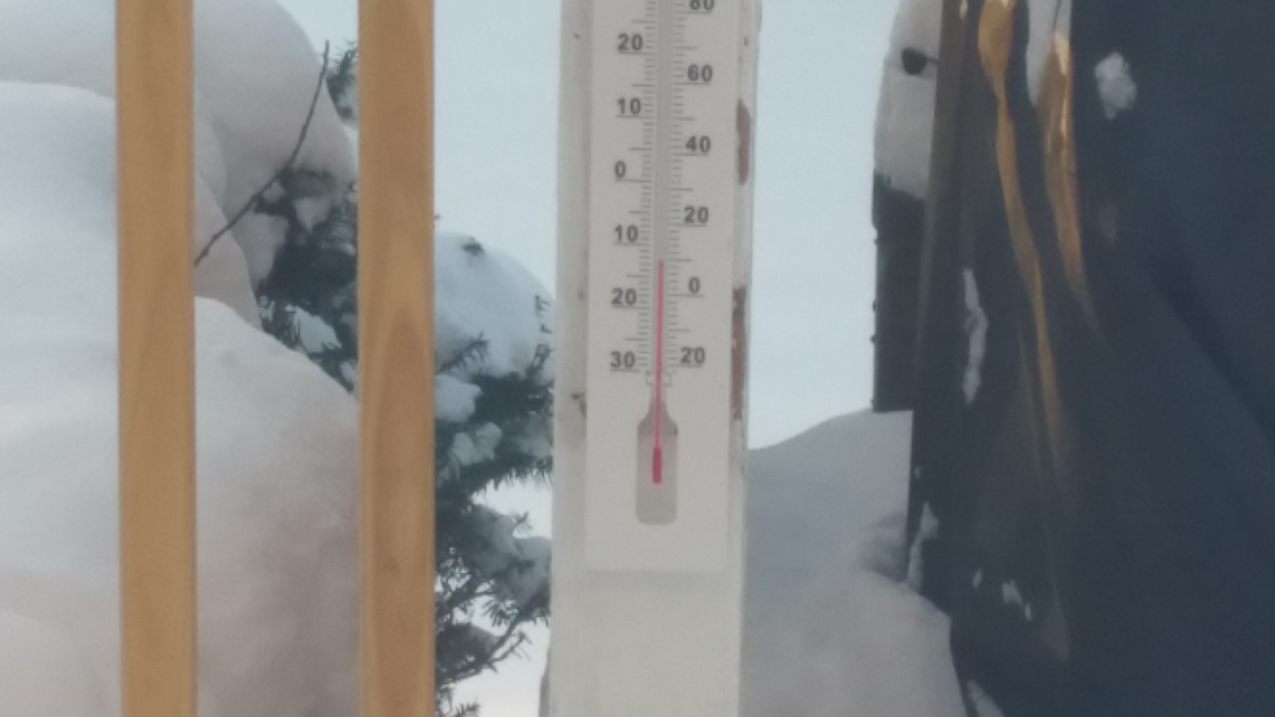 brrrrr Jan 8, 2017  ~~  8 degrees F and windy with wind chills -4 F!!!!