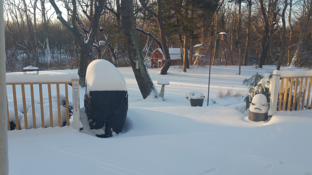 First snowfall of 2017  ~~  backyard of the Lynch Shack