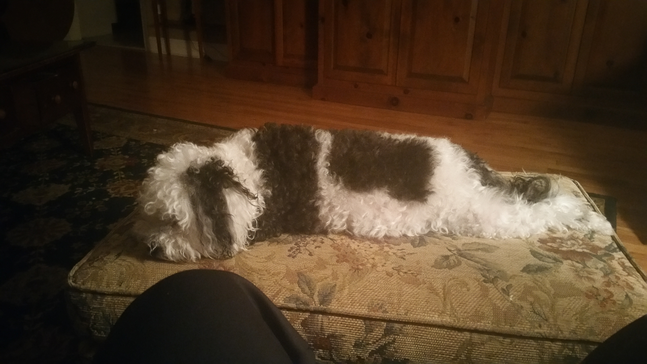 The Keeks  ~~  Da Momma is in Aruba