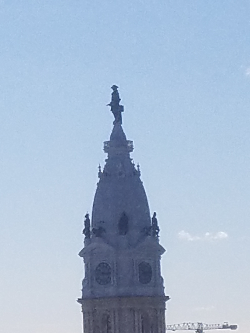 Willy Penn at a strange angle   ~~  (that's why he is called Willy??