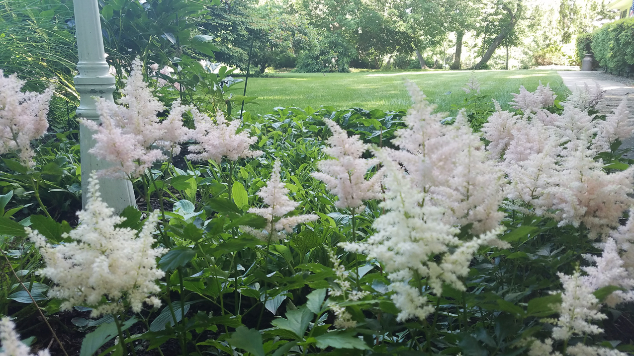 Independence Day Celebration and Firework on July 3rd with friends and family  ~~  