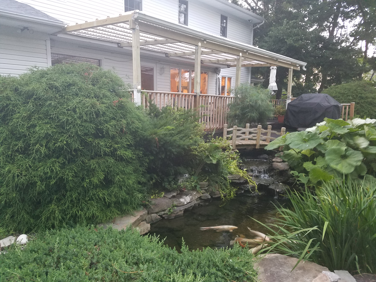 July Project 2017  ~~  New Japanese look pergola.  6.15% grade on a 5% min.  Hope the snow slides off????