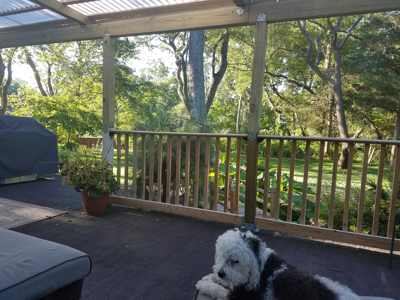 July Project 2017  ~~  New Japanese look pergola.  6.15% grade on a 5% min.  Hope the snow slides off????