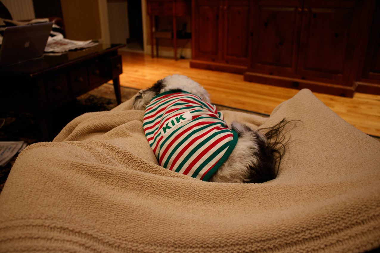 New Years 2018 at the Lynch Shack  ~~  9 degrees F outside - nice and toasty and in our pajamas on the inside!!!