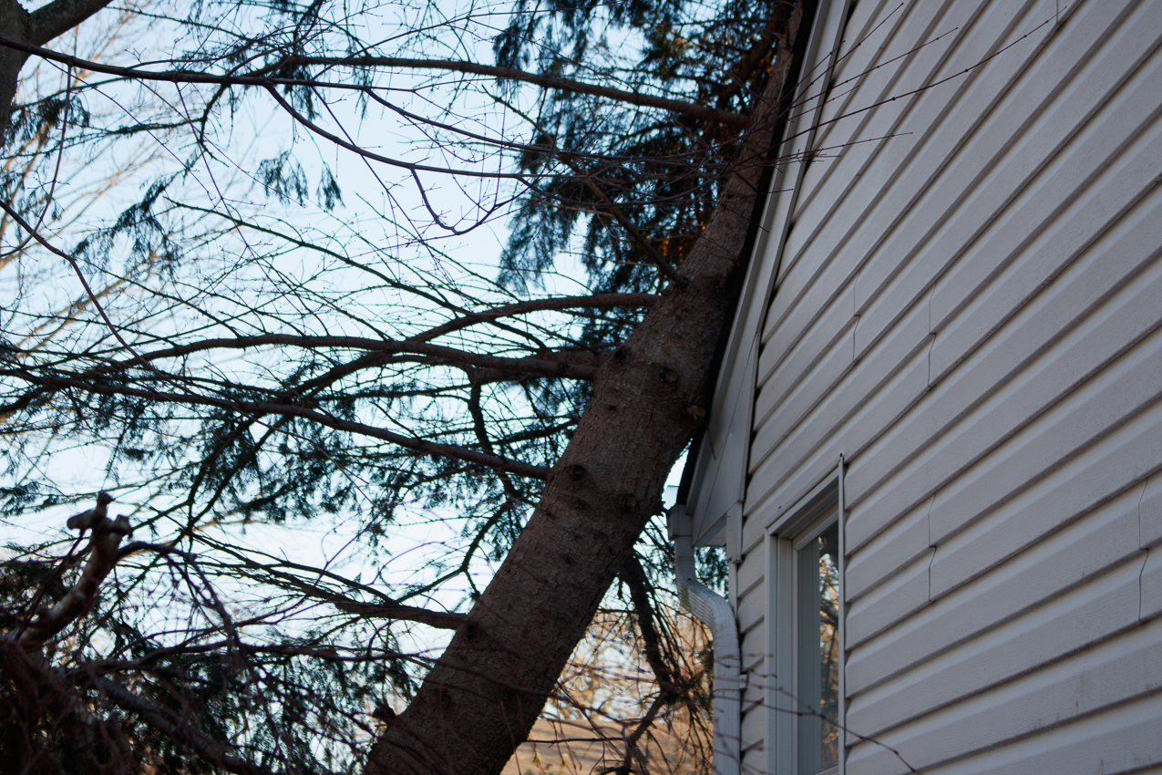 Nor 'Easter # 2 while on vacation  ~~  