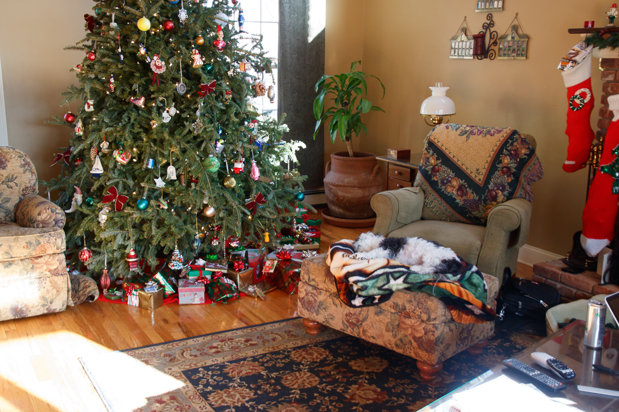   ~~  Christmas at the Lynch Shack 2018