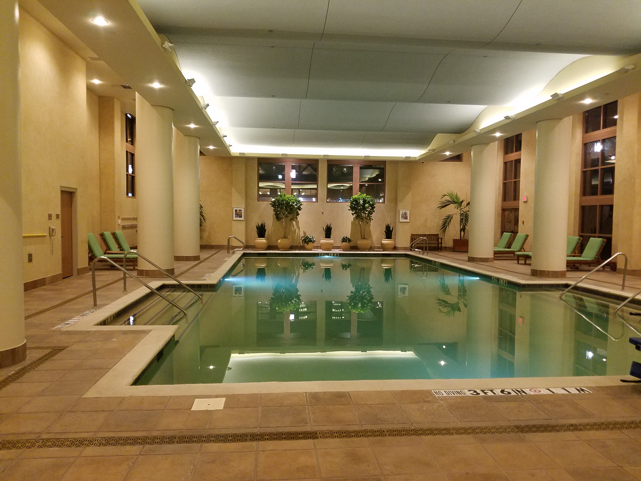 Marriott Pool - swam a few  ~~  TX Storage Sales Kickoff 2018