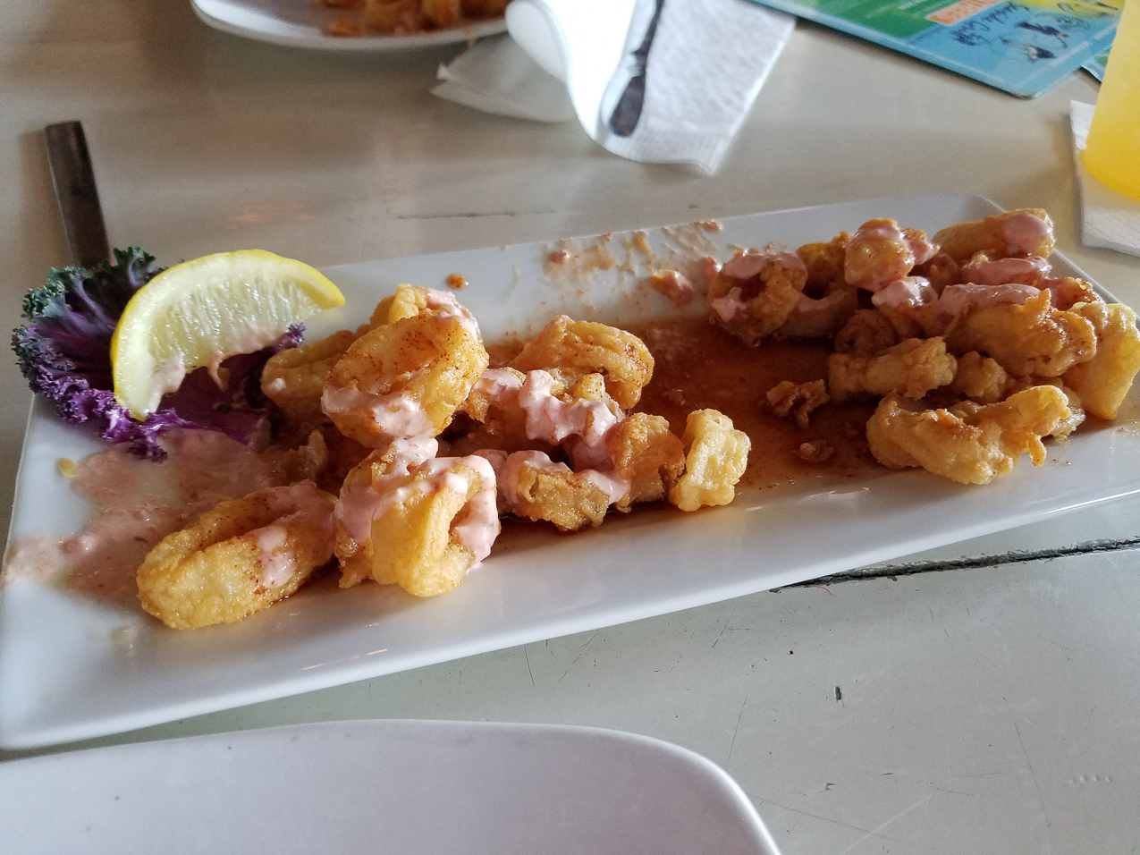   ~~  Carnival Elation Cruise March 2018 with John & Lyd