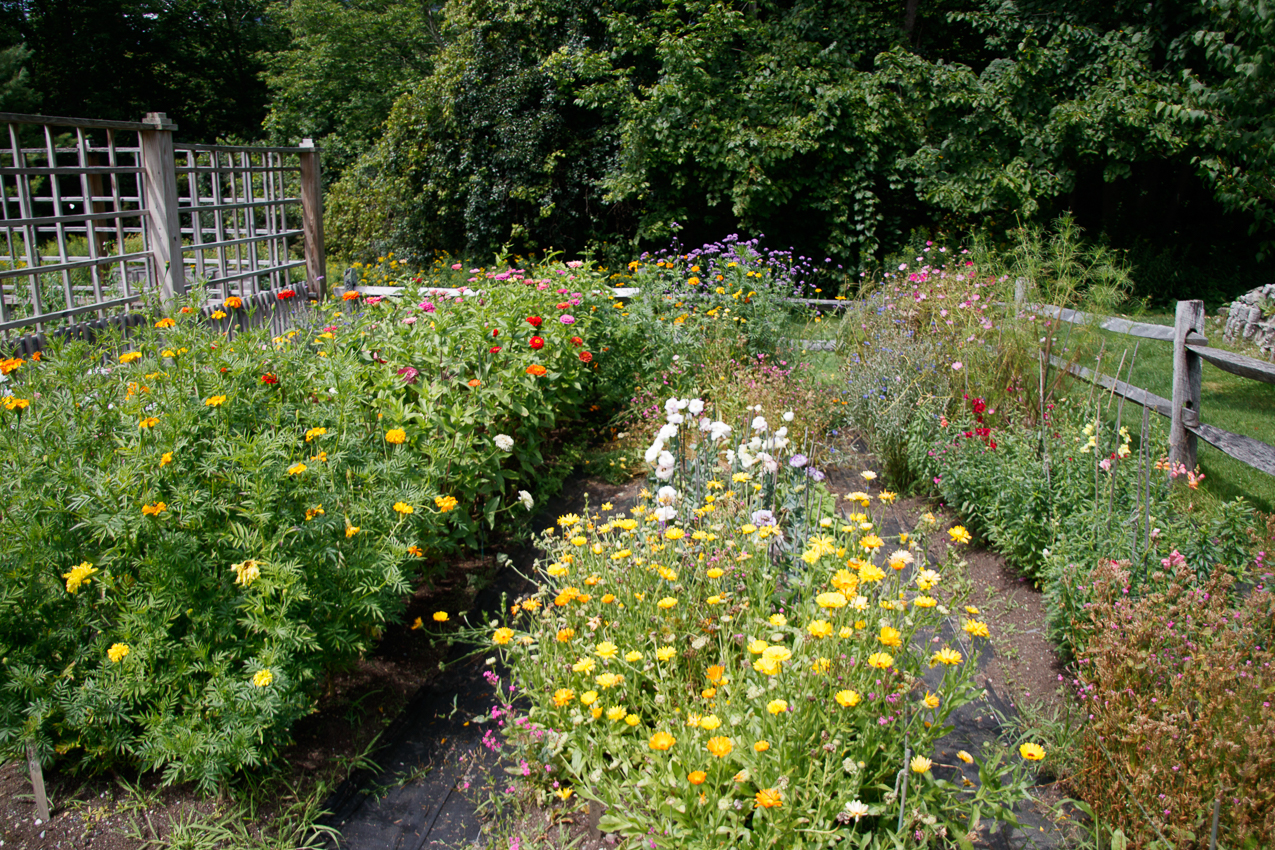   ~~  Manchester VT b-day trip for Tom's 60th.  Equinox Marriott Resort and The Golf Club and Lincoln summer house