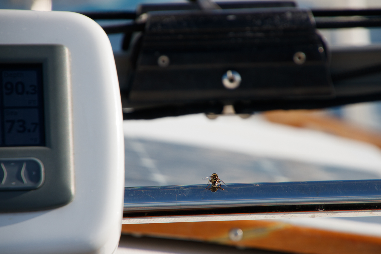 A perfect day for sailing with Gretchen Sept 15th 2019 out on the Long Island Sound off of Mt. Sinai to Middle Ground Lighthouse on s/v Akula  ~~  