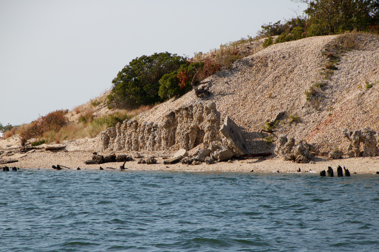 PJ and Pirates Cove with friends  ~~  