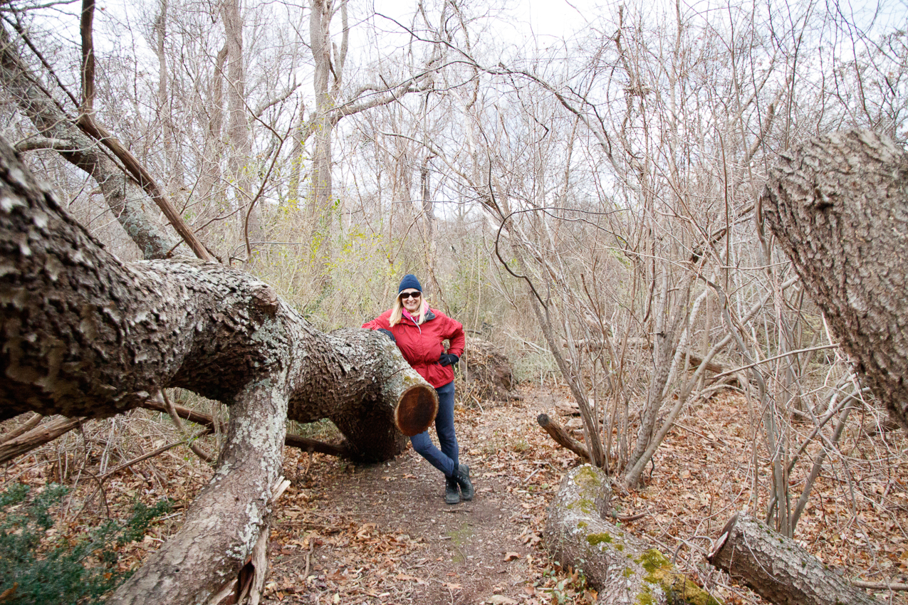 Thanksgiving 2019 Walk in the park and beach  ~~  The Lynch Clan