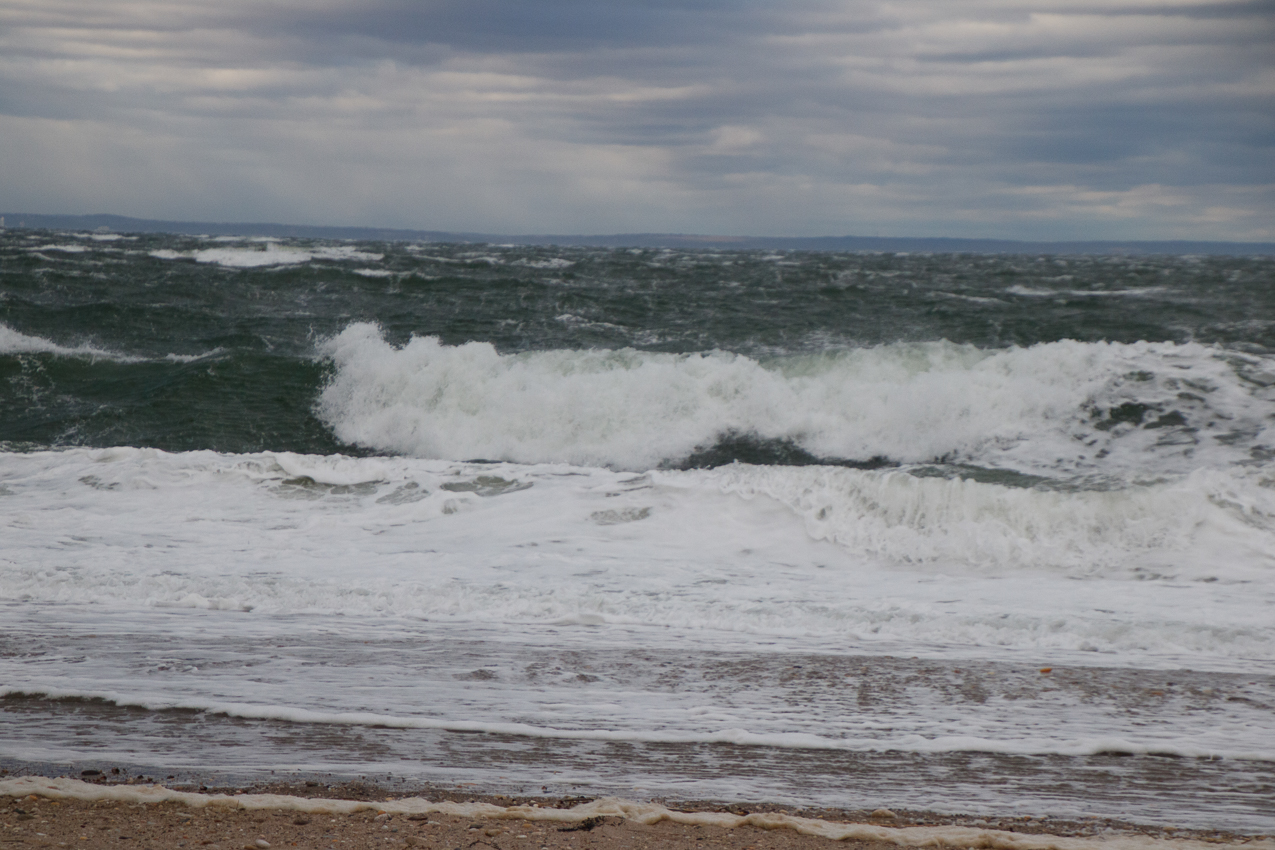 Thanksgiving 2019 Walk in the park and beach  ~~  The Lynch Clan