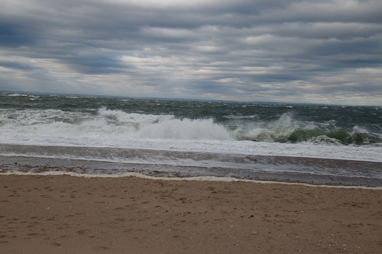 Thanksgiving 2019 Walk in the park and beach  ~~  The Lynch Clan