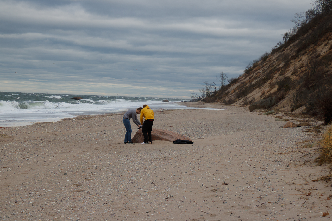 Thanksgiving 2019 Walk in the park and beach  ~~  The Lynch Clan