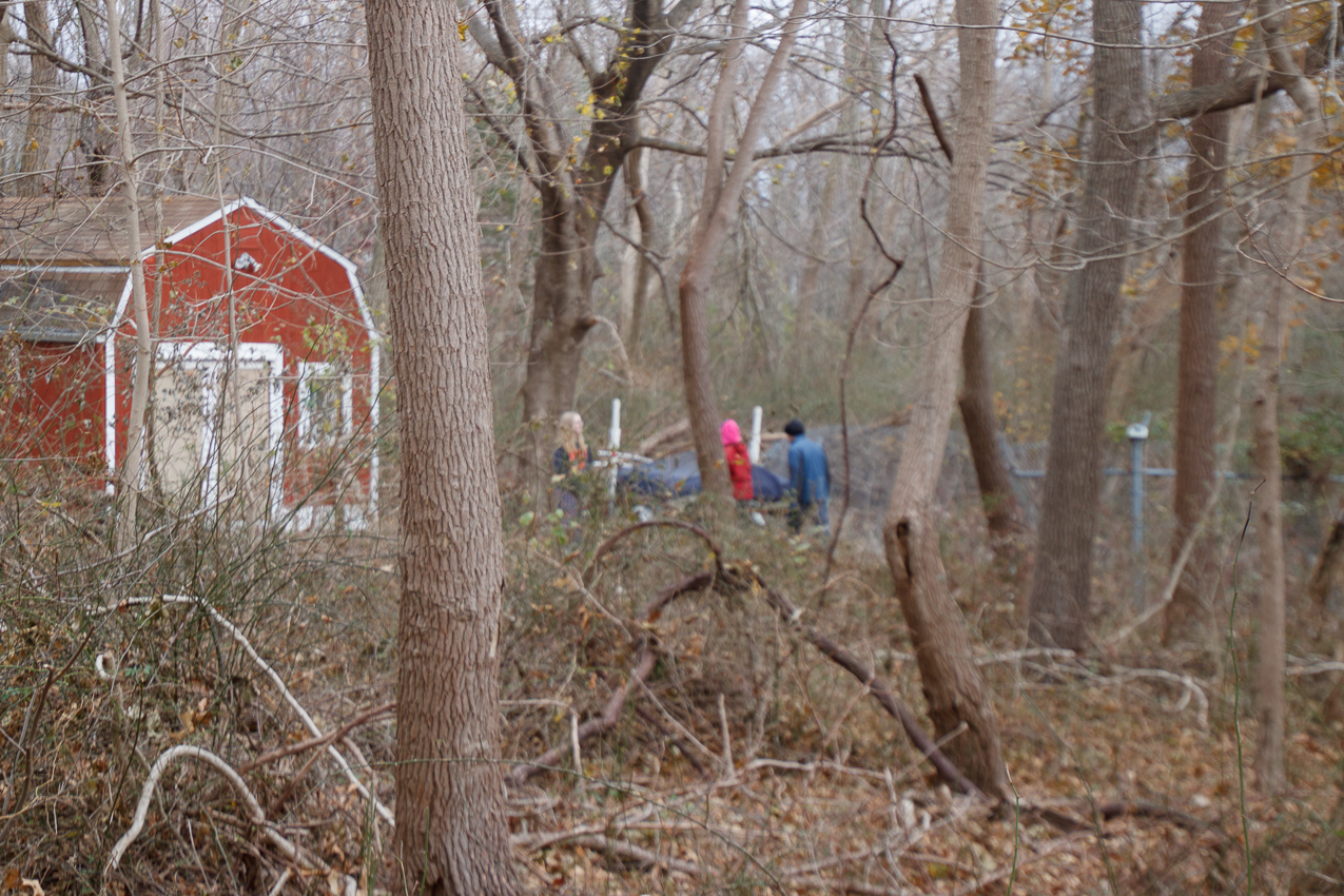 Thanksgiving 2019 Walk in the park and beach  ~~  The Lynch Clan