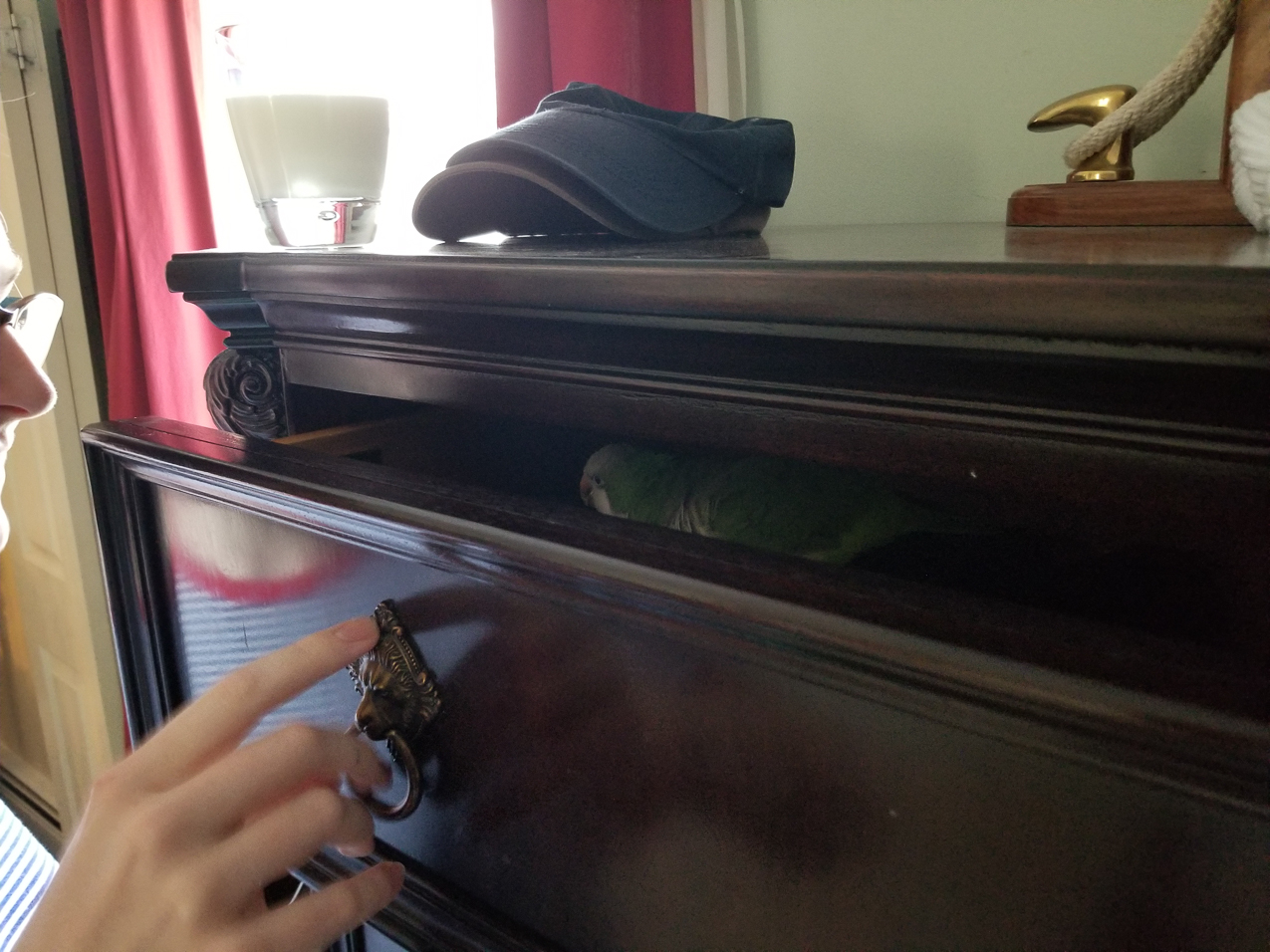 The Captain missing Quinn and acting goofy.  ~~  