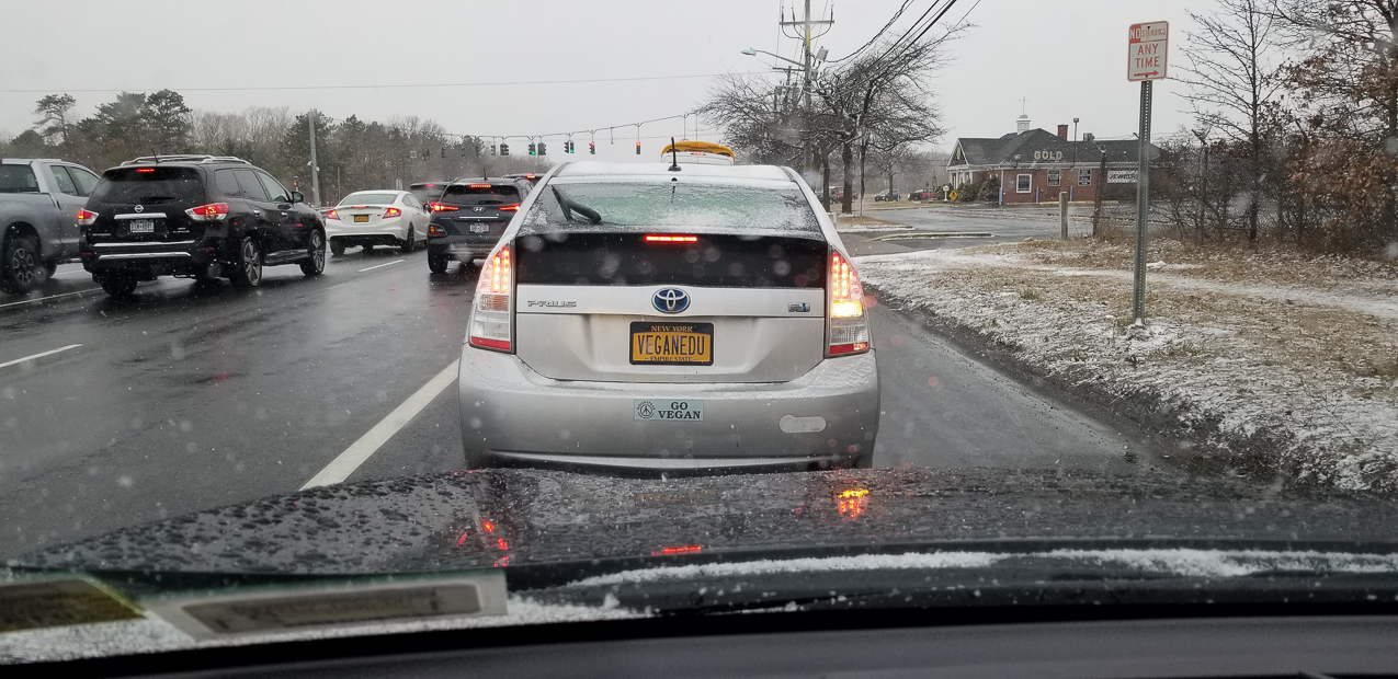Near ISP airport Long Island  ~~  VEGAN MAN.  Really bad driver through.