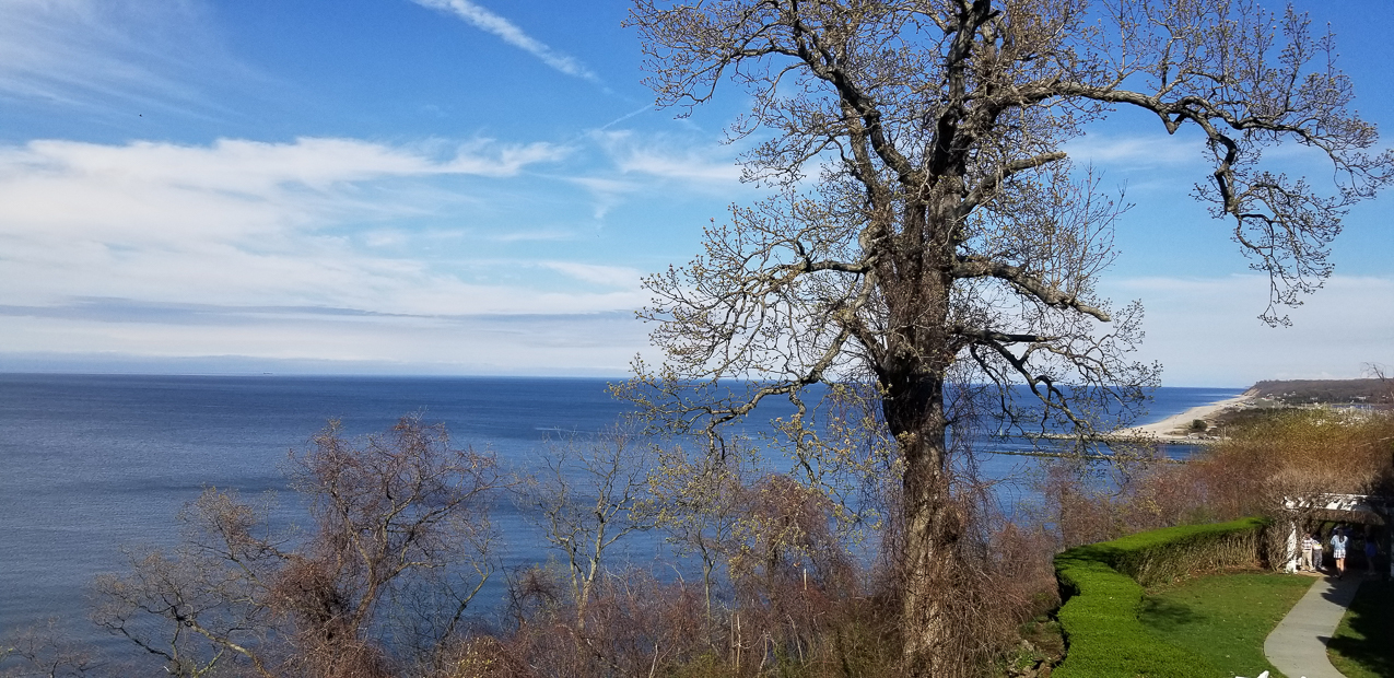   ~~  Easter 2019 at PJ CC Danford's Waterview with Friends