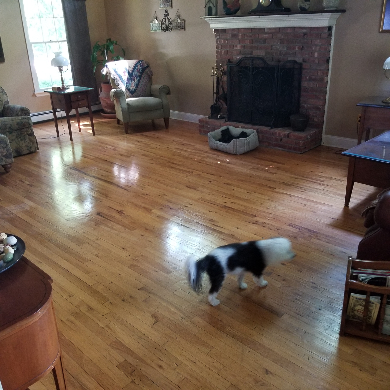 The Keeks keeps us busy  ~~  